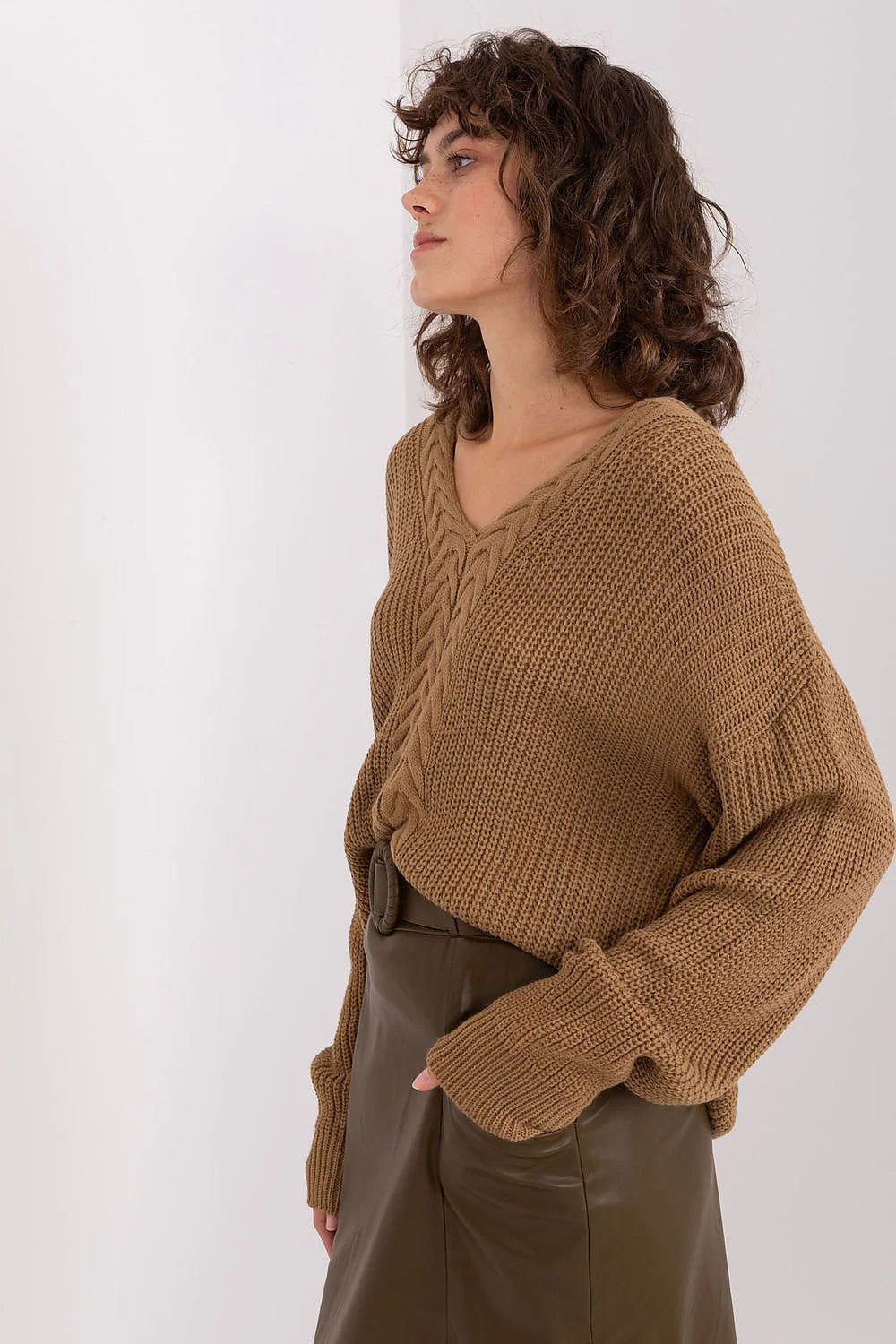 Elegant Textured V-Neck Women'S Sweater